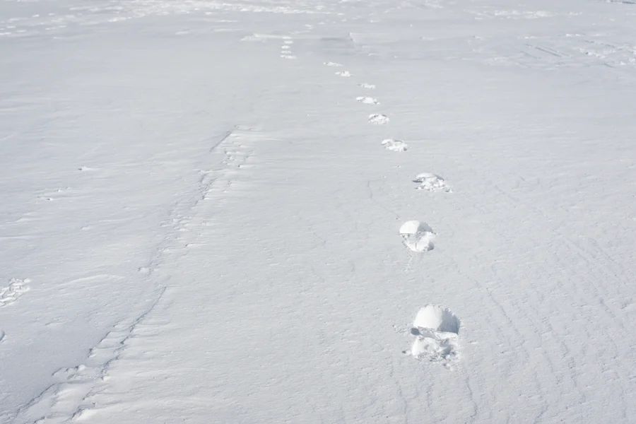 Warum Merino-Schaffell Winterschuhe?