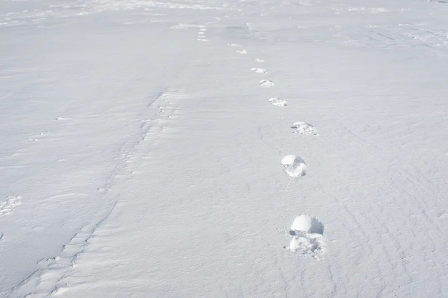 Schneelandschaft mit Fußspuren