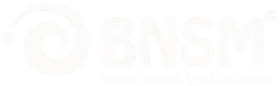 Logo BNSM